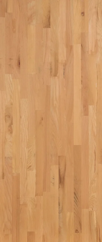 beech-img